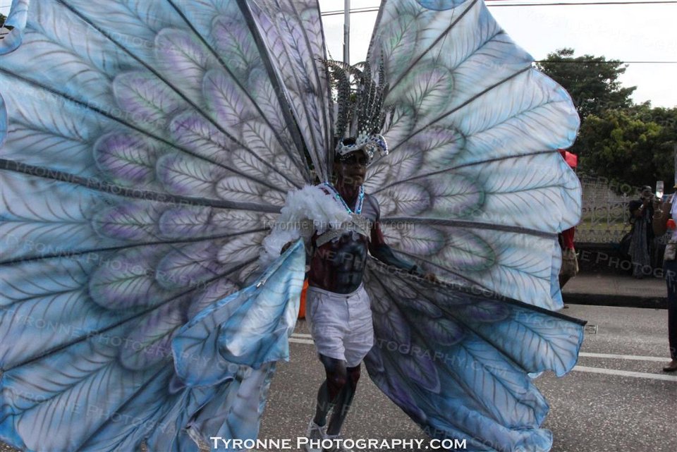 TT-Carnival-2014-035