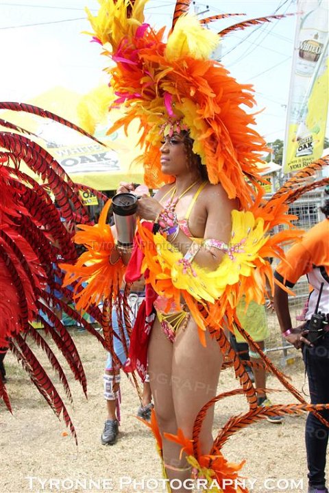 TT-Carnival-2014-291