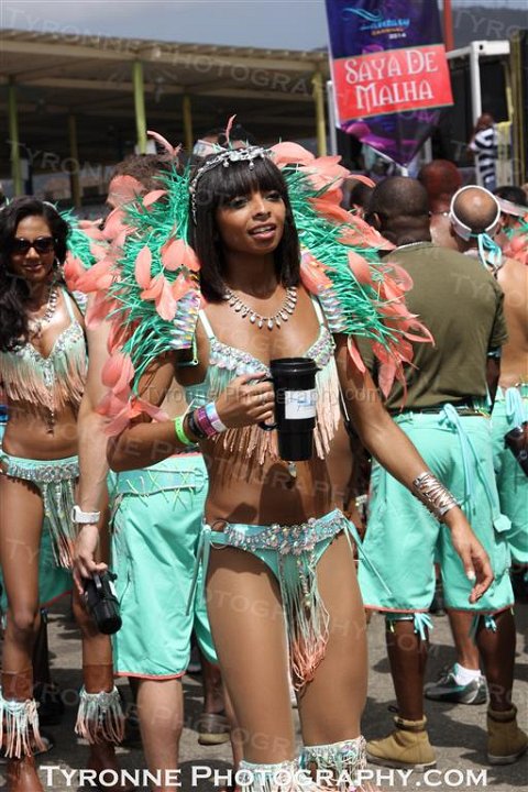 TT-Carnival-2014-301