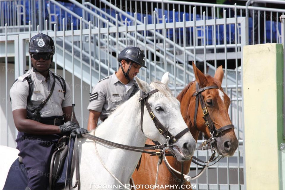 TT-Carnival-2014-322