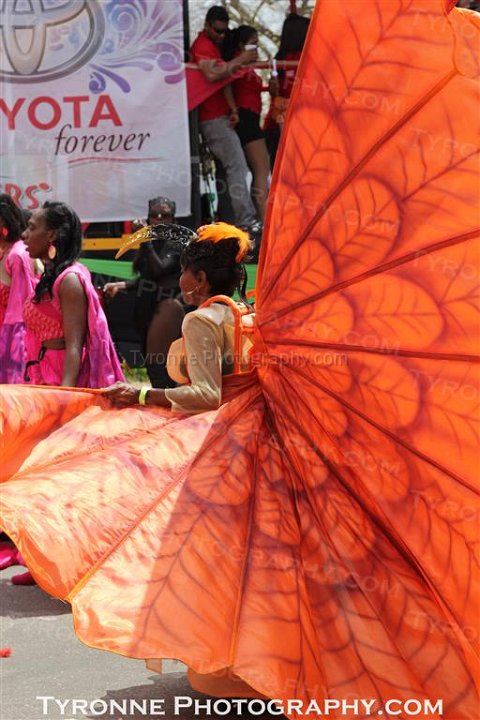 TT-Carnival-2014-395
