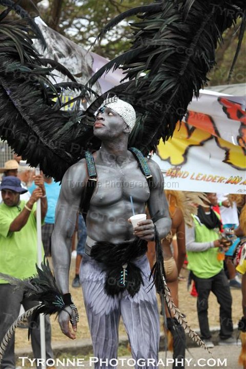 TT-Carnival-2014-450