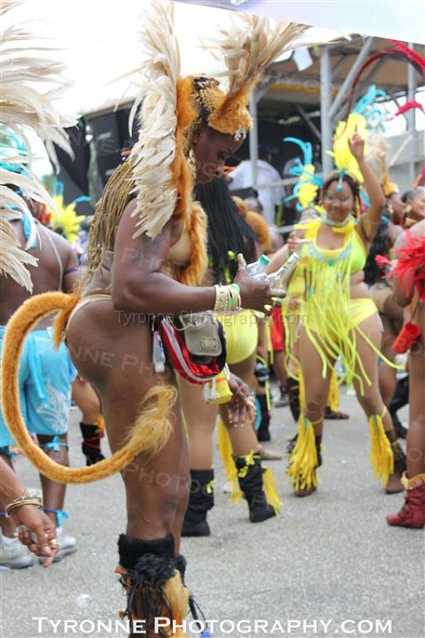TT-Carnival-2014-462
