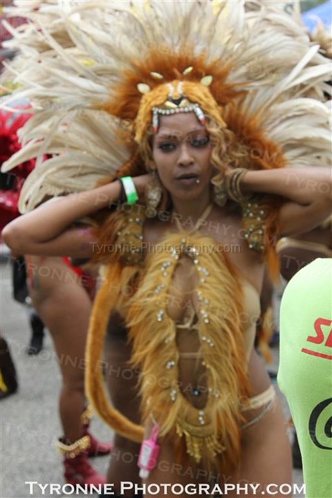 TT-Carnival-2014-466