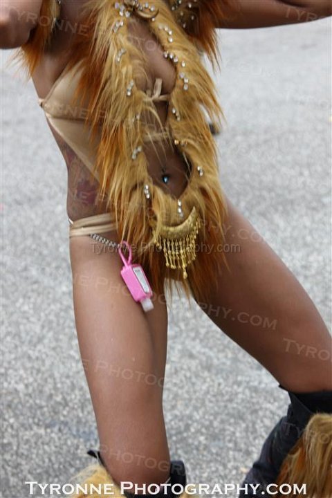 TT-Carnival-2014-468