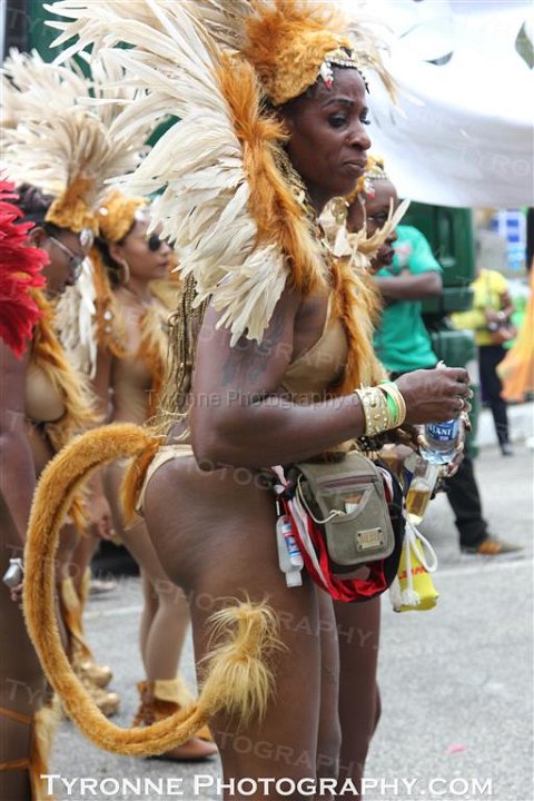 TT-Carnival-2014-470