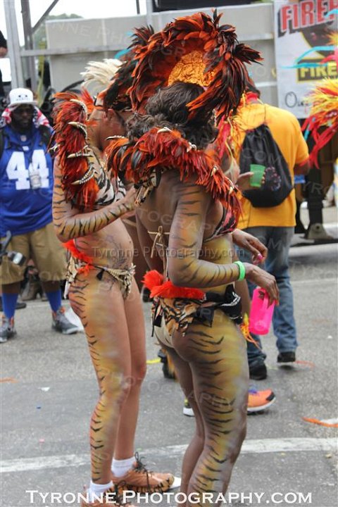 TT-Carnival-2014-477