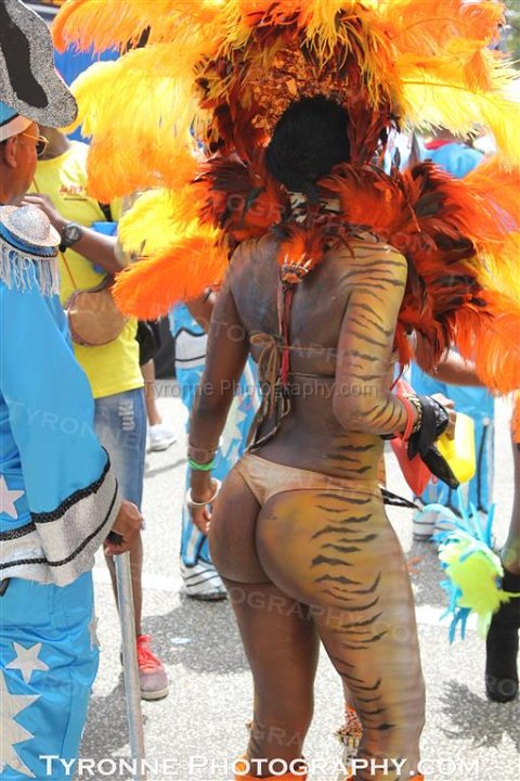 TT-Carnival-2014-501