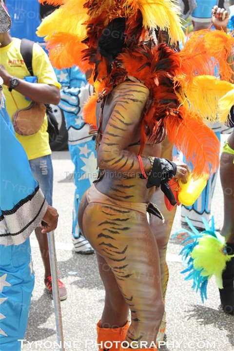 TT-Carnival-2014-502