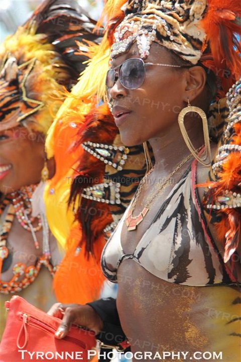 TT-Carnival-2014-506