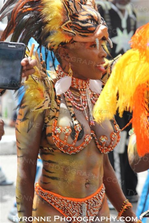 TT-Carnival-2014-508