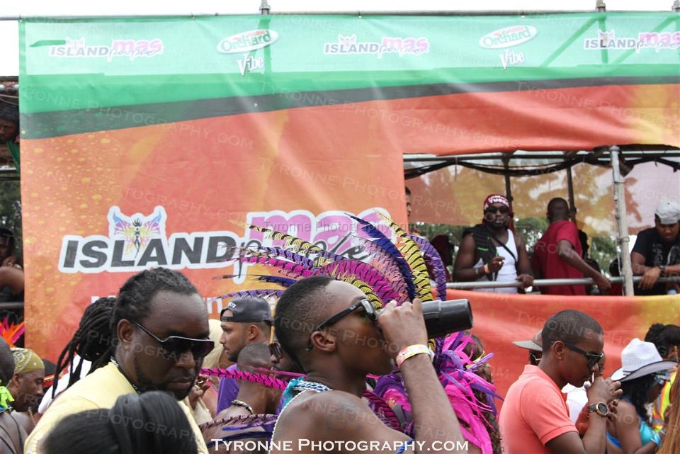 TT-Carnival-2014-540