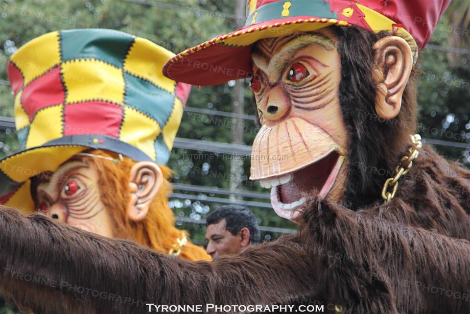 TT-Carnival-2014-624