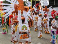 TT-Carnival-2014-139