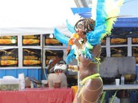 TT-Carnival-2014-178