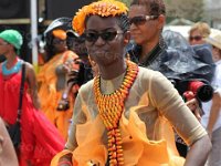 TT-Carnival-2014-391