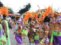 TT-Carnival-2014-431