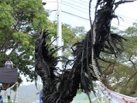 TT-Carnival-2014-451