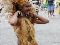 TT-Carnival-2014-469