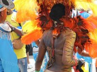 TT-Carnival-2014-501