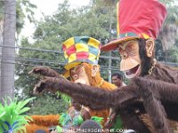 TT-Carnival-2014-622