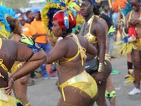TT-Carnival-2014-712