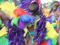 TT-Carnival-2014-730