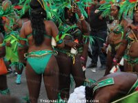 TT-Carnival-2014-786