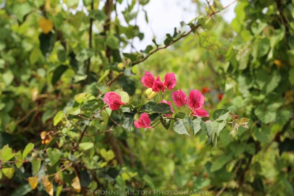3J9A1949-TKM-WM